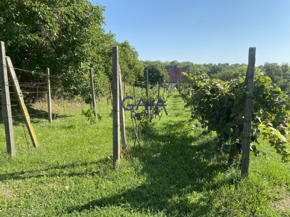 Foto nemovitosti 23K142SK č. 25