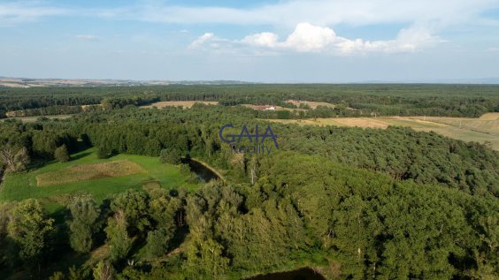 Foto nemovitosti 24K146POb č. 30