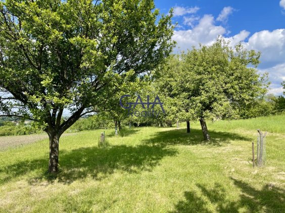 Foto nemovitosti 25H092PZ č. 4