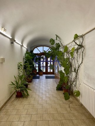 Foto nemovitosti 25H116PO č. 11