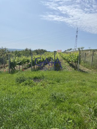 Foto nemovitosti 25K111PZ č. 12