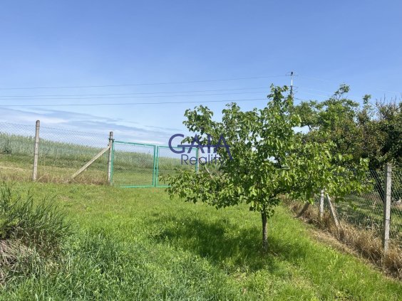 Foto nemovitosti 25K111PZ č. 14