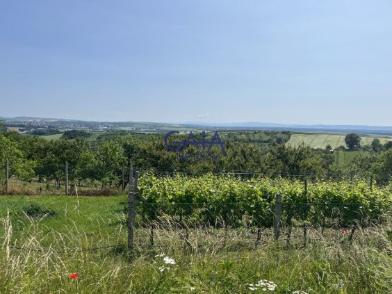 Foto nemovitosti 25K111PZ č. 18