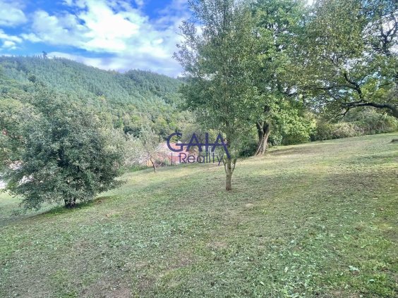 Foto nemovitosti 25K172PZ č. 9