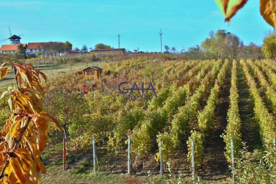 Foto nemovitosti 25K210PZ č. 1