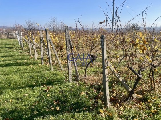 Foto nemovitosti 25K210PZ č. 2