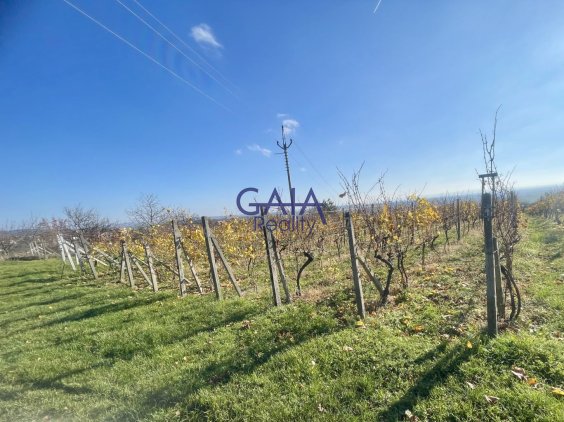 Foto nemovitosti 25K210PZ č. 3