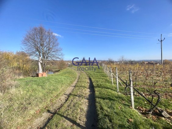 Foto nemovitosti 25K210PZ č. 5