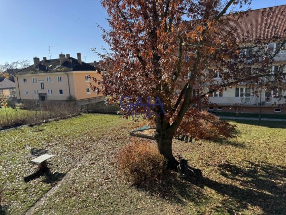 Foto nemovitosti 25H207BO č. 13