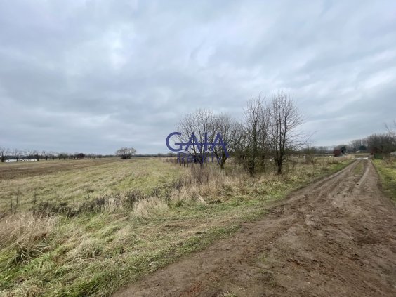 Foto nemovitosti 25H217PZ č. 5