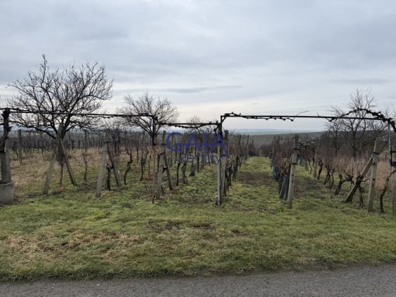 Foto nemovitosti 26K037PZ č. 2