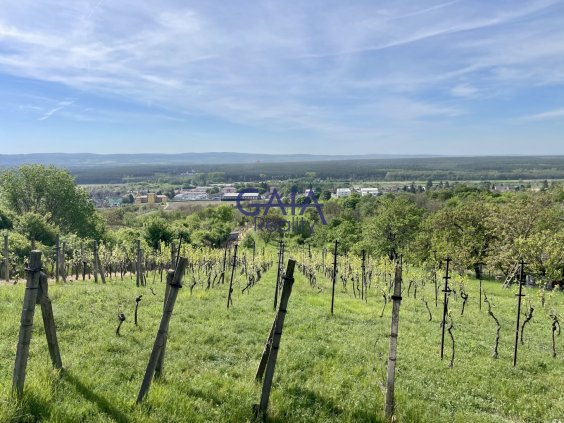 Foto nemovitosti 26H053PZ č. 2