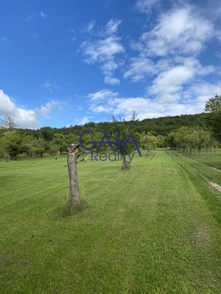 Foto nemovitosti 26K113CH č. 10