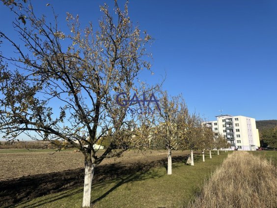 Foto nemovitosti 26H186PZ č. 5